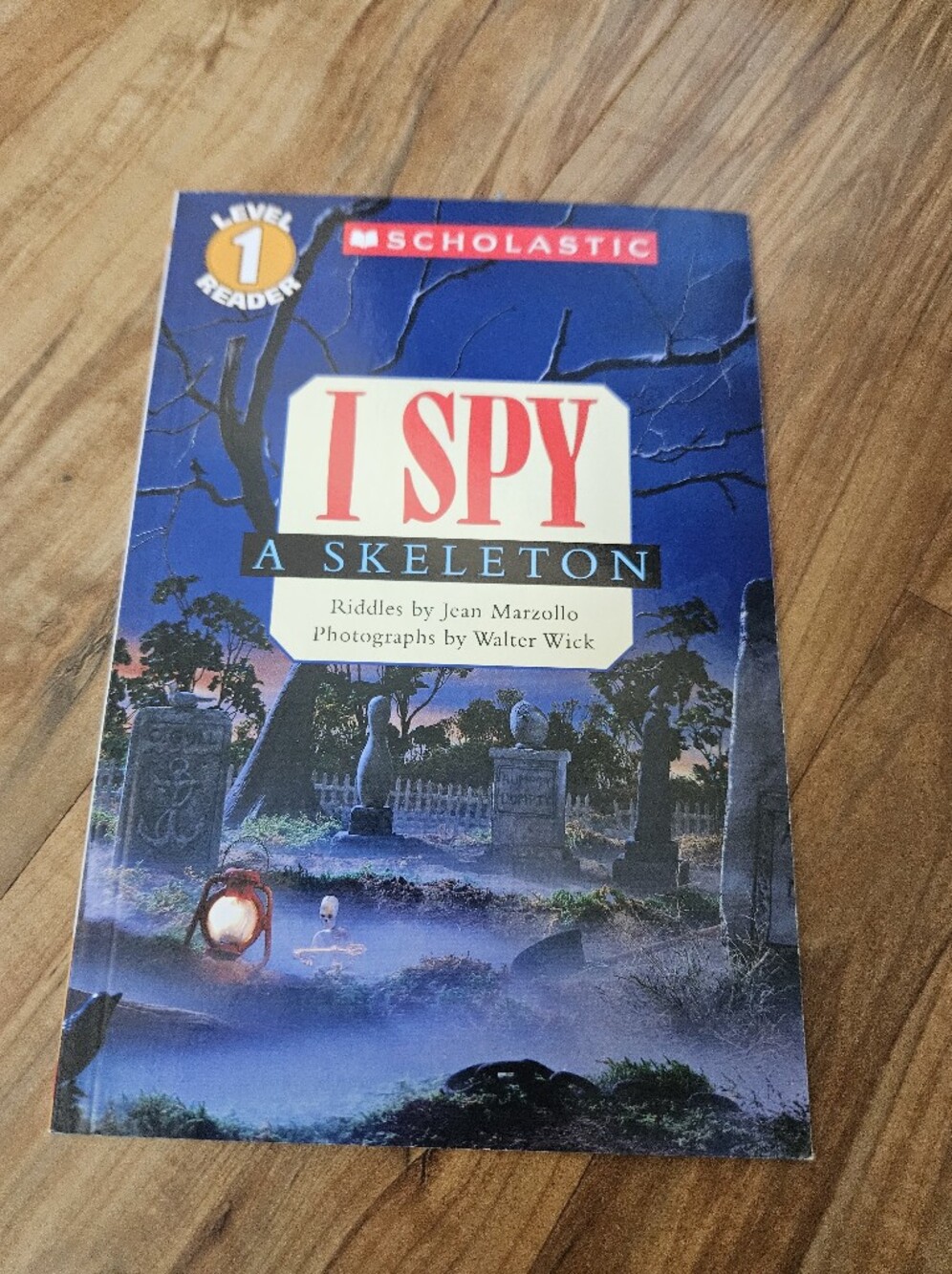 Scholastic I SPY A Skeleton Book - Blue and Red Cover